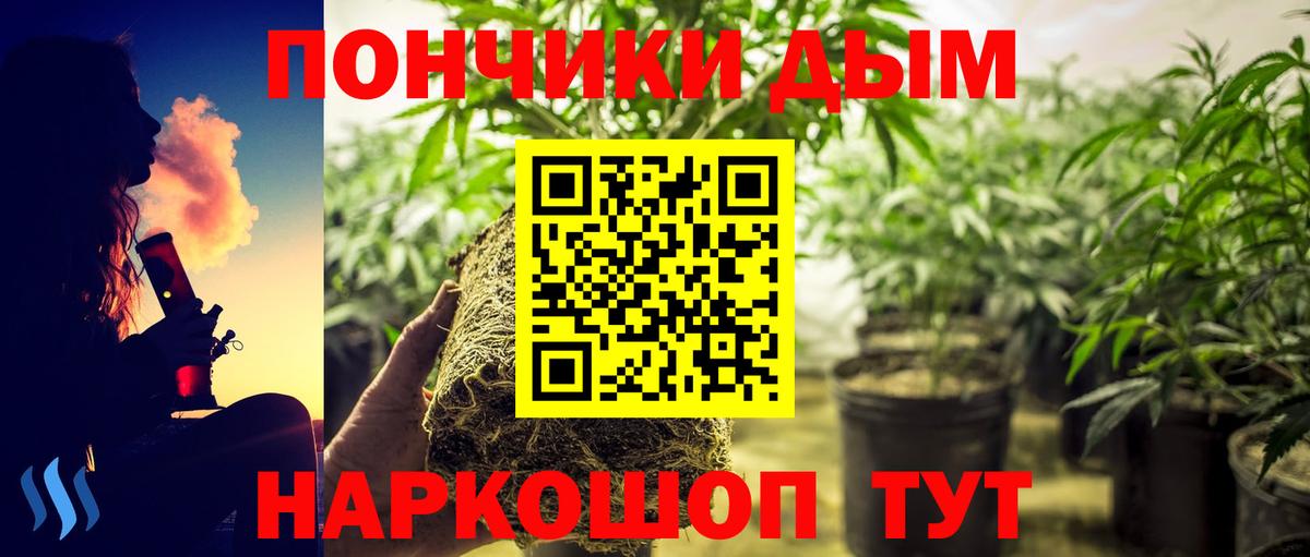 Конопля SATIVA & INDICA Россия